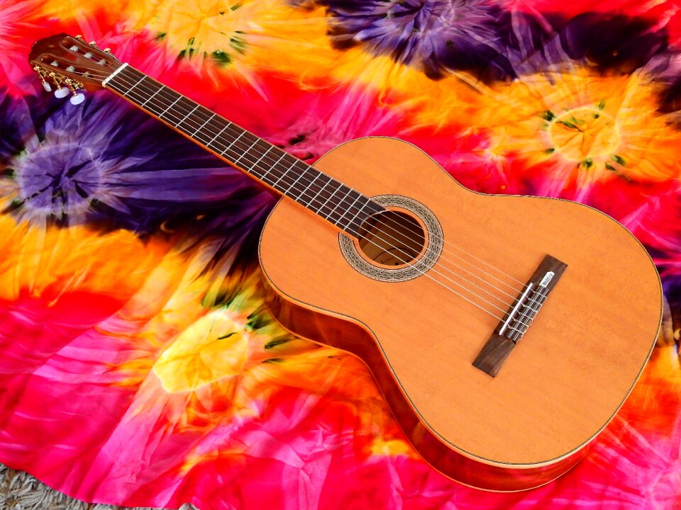 Acoustic guitar musician musical instrument