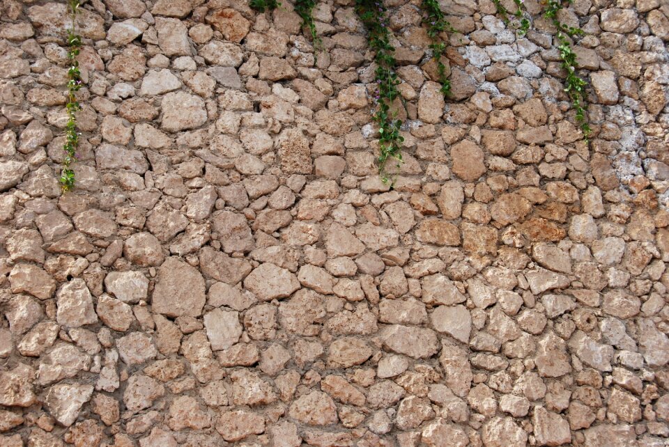 Wall stones plants