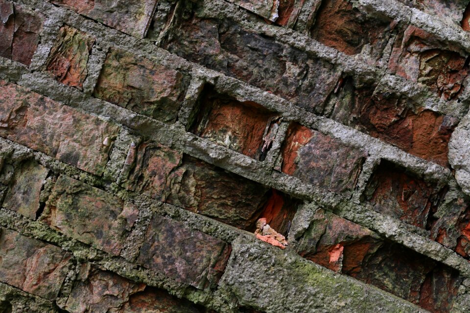 Brick masonry texture