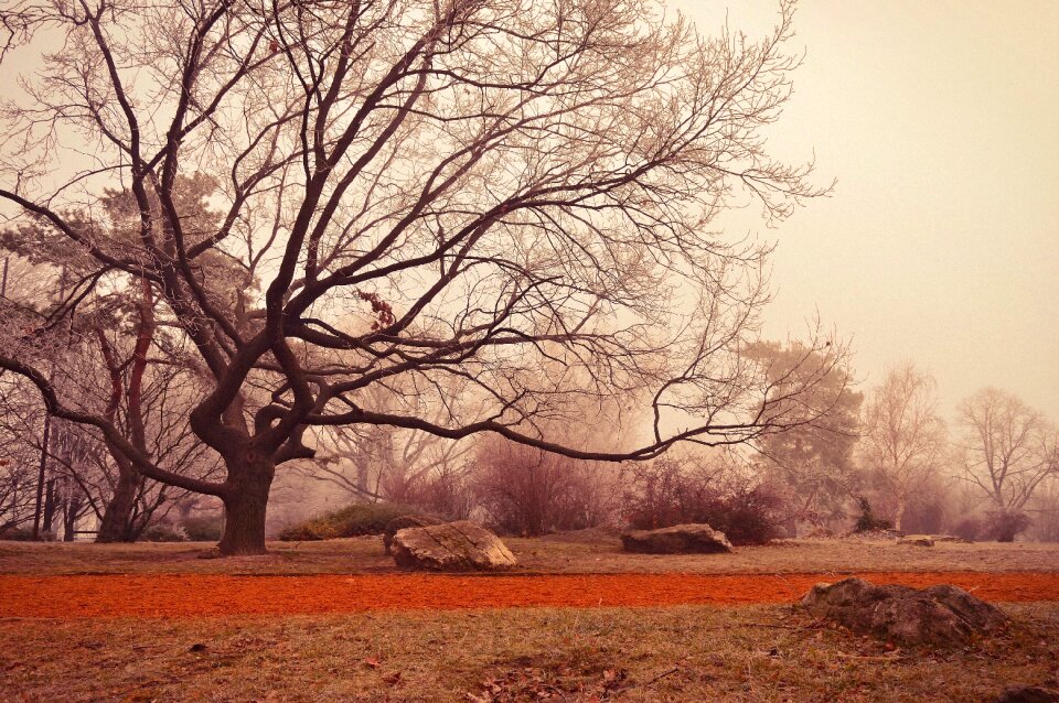 Fog hungary europe