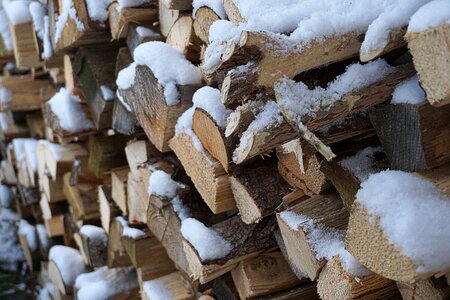 Nature log precipitated wood photo