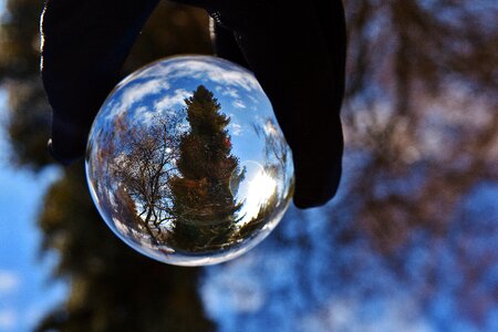 Mirroring transparent trees