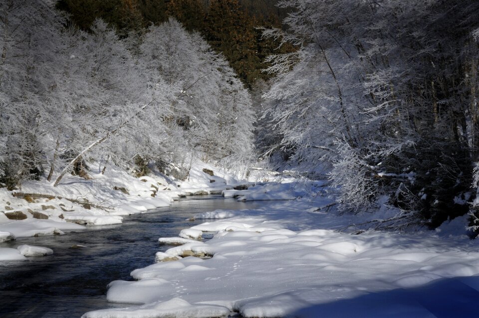 Landscape wintry cold