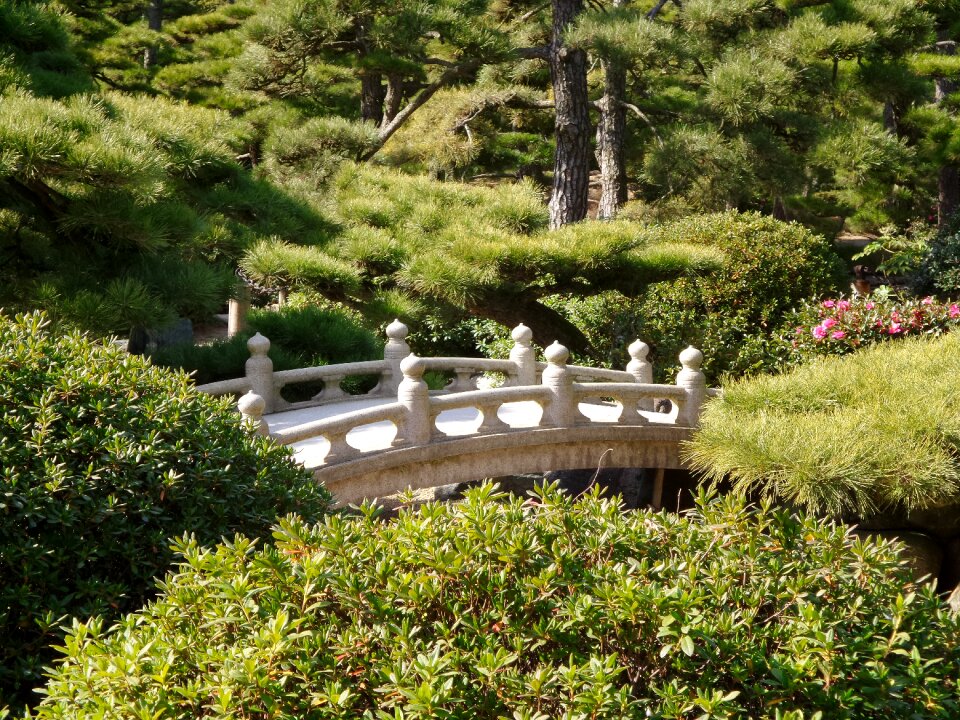 Traditional zen green