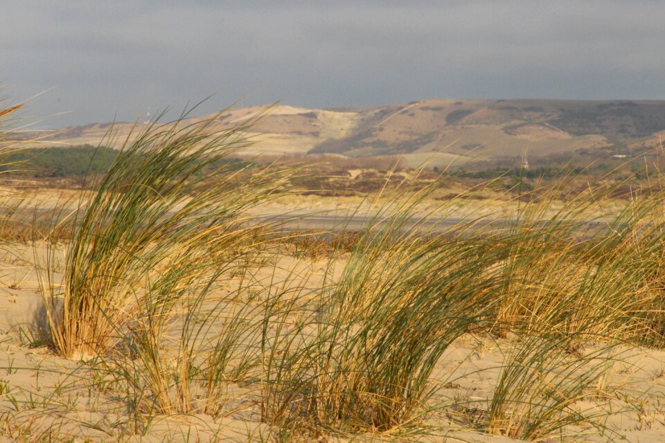 Dunes panorama the touquet