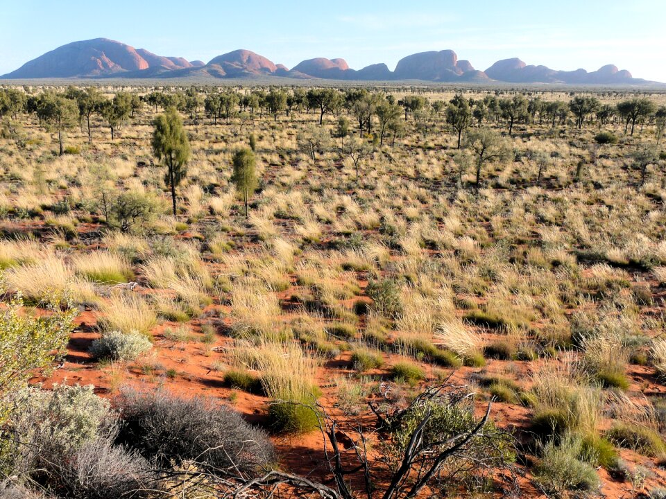 Olgas australia early in the morning