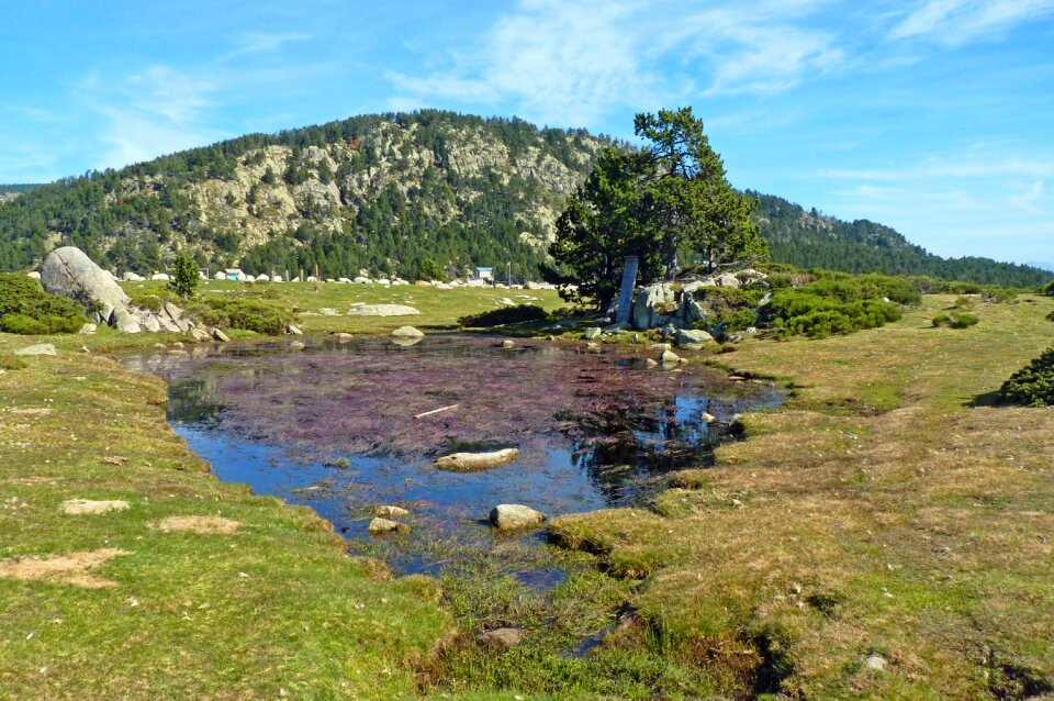 Ecosystem nature mountain