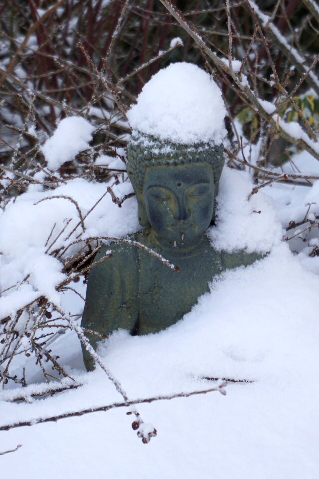 Garden wintry nature