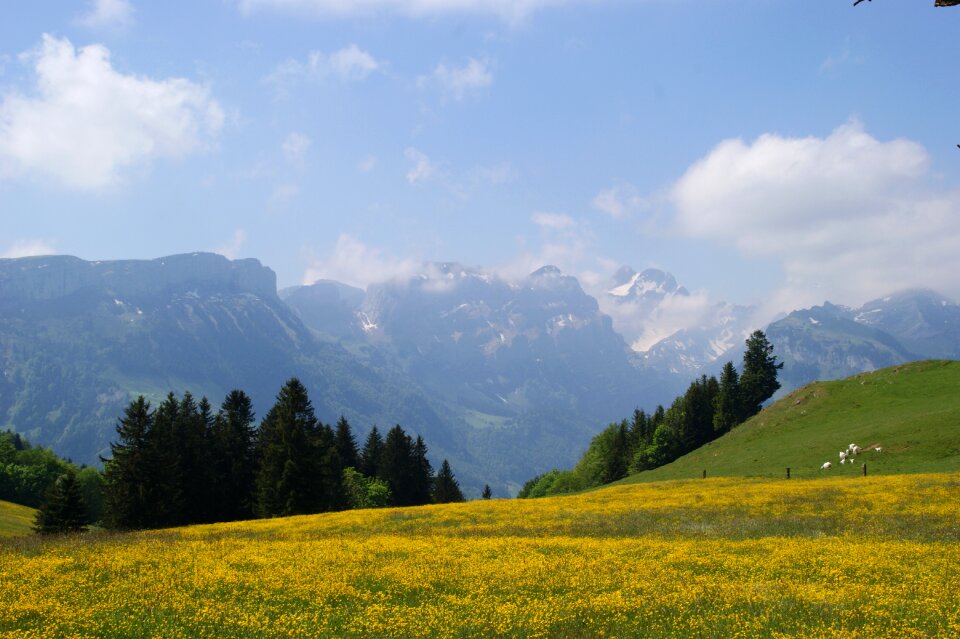 Alpine switzerland appenzell