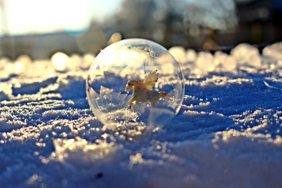 Fantasy pegasus ice