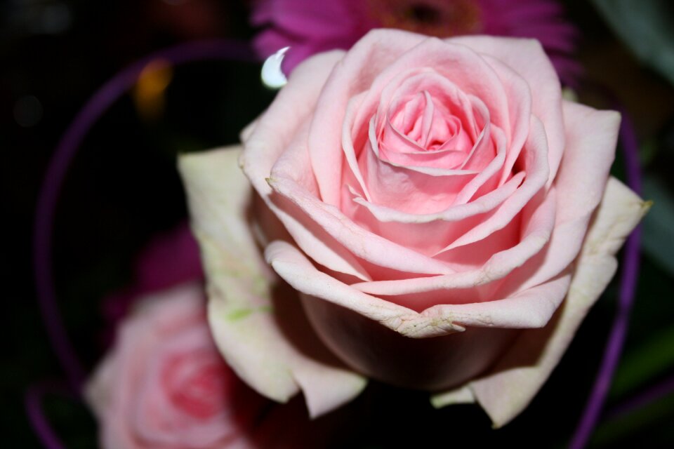 Congratulations romance decoration