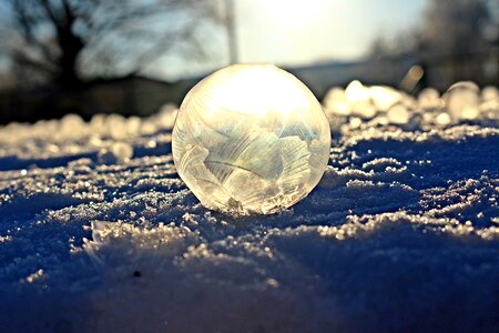 Snow eiskristalle frozen photo
