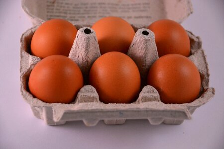 Egg carton eat gastronomy