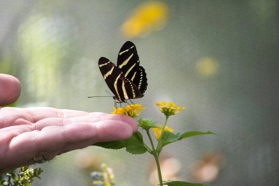Nature colorful freedom