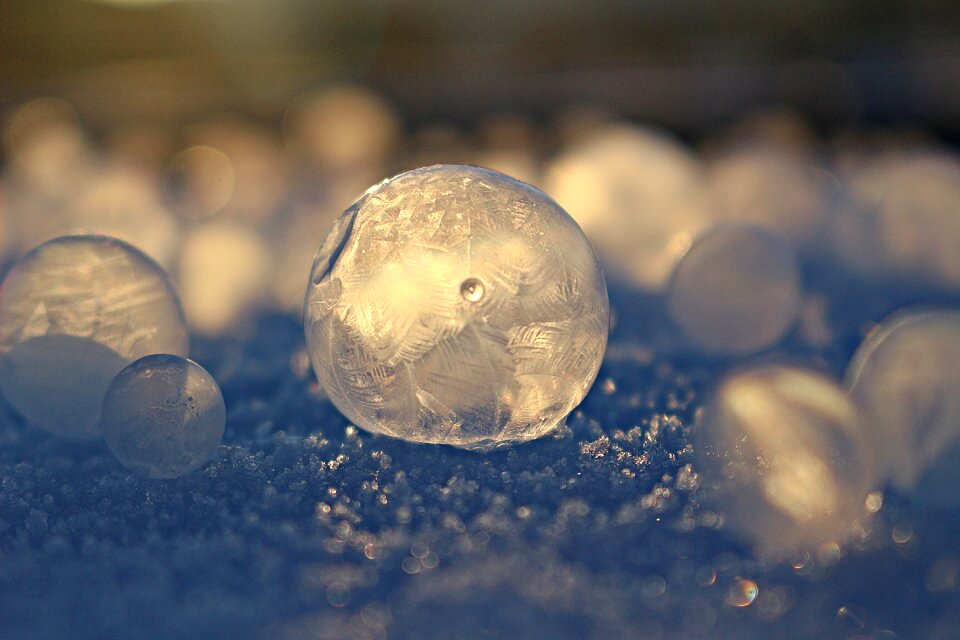 Frost bubble winter frozen photo