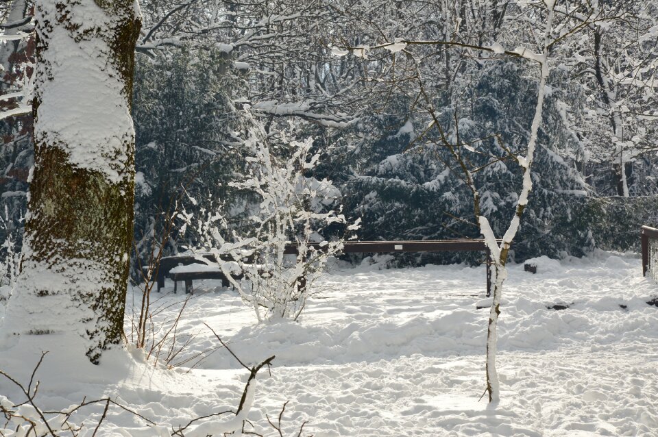 Nature winter nature winter
