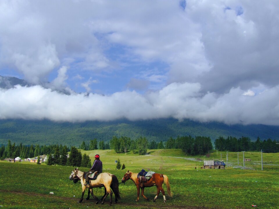 Country horses ride