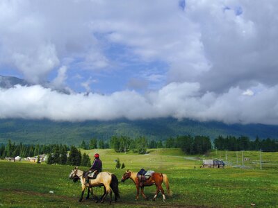 Country horses ride