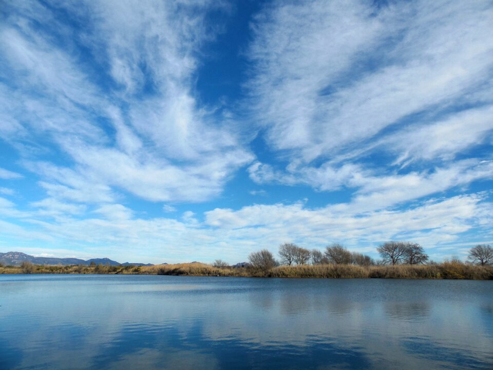 Nature blue landscape