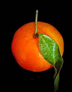 Vitamin c sweet juicy