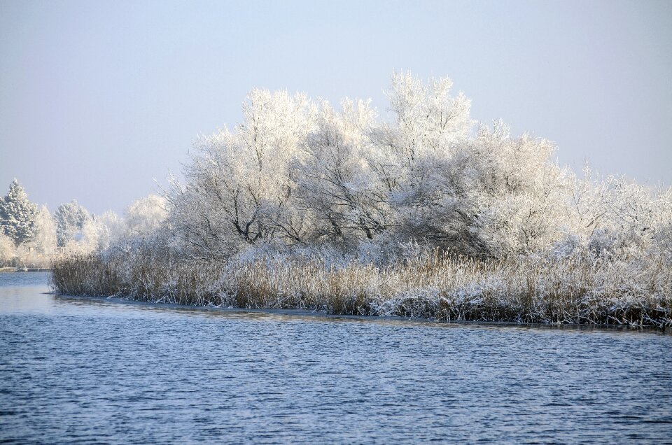 Cold water nature