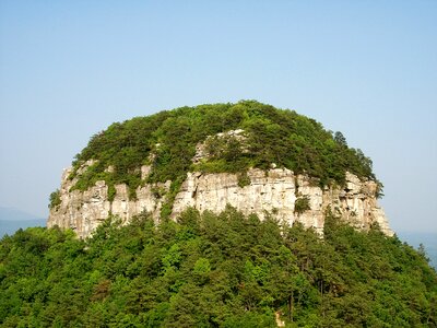 Trees peak knob
