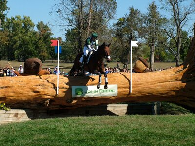 3 day eventing eventing equestrian photo
