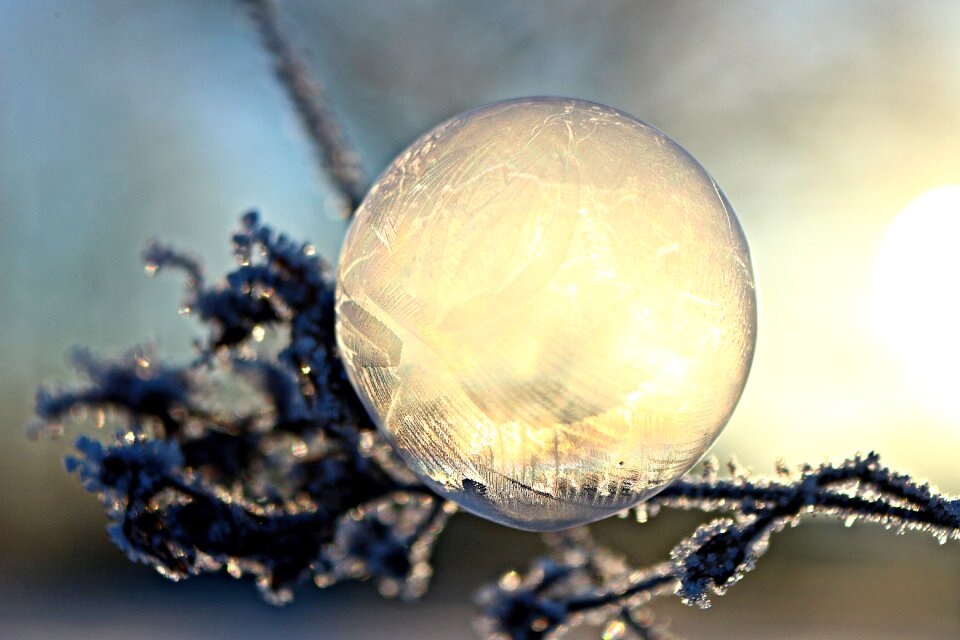 Snow frost bubble frost ball photo
