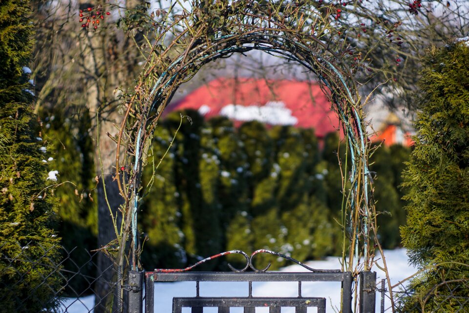 Bow garden entrance