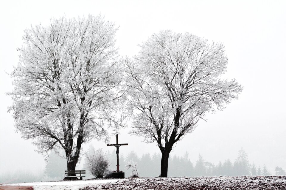 Cold hoarfrost wintry