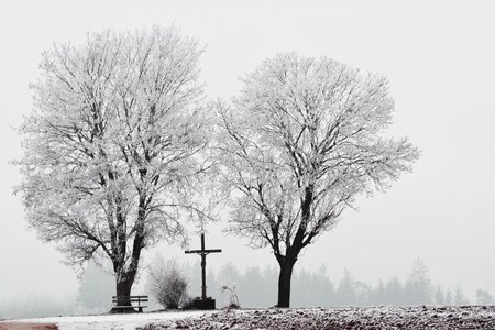 Cold hoarfrost wintry