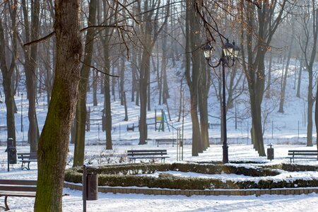 Parterre winter snow photo