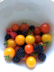 Gardening food healthy photo