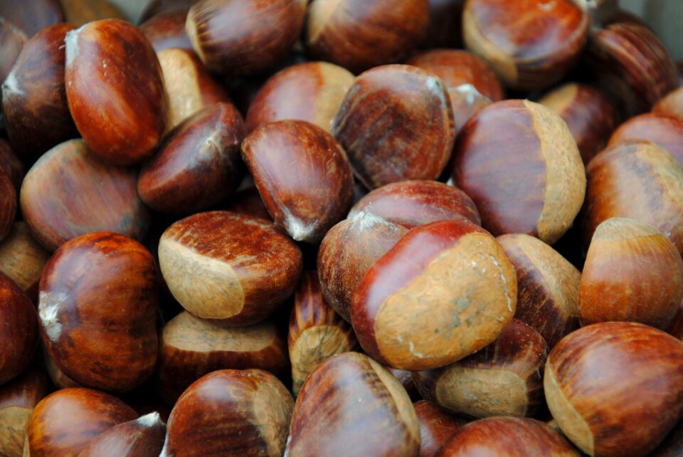 Chestnuts chestnut sweet chestnut