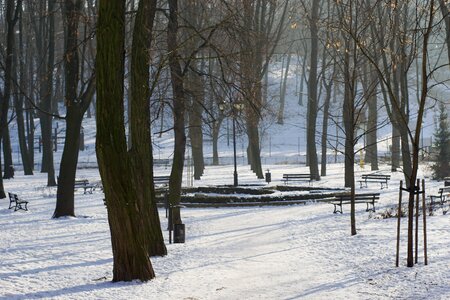 Winter snow benches photo