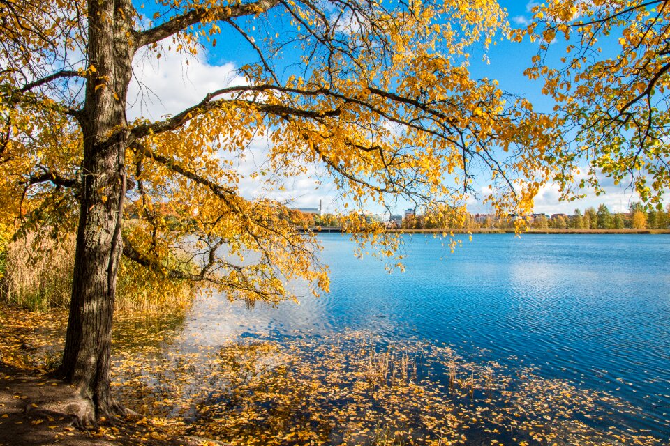 Water lake nature