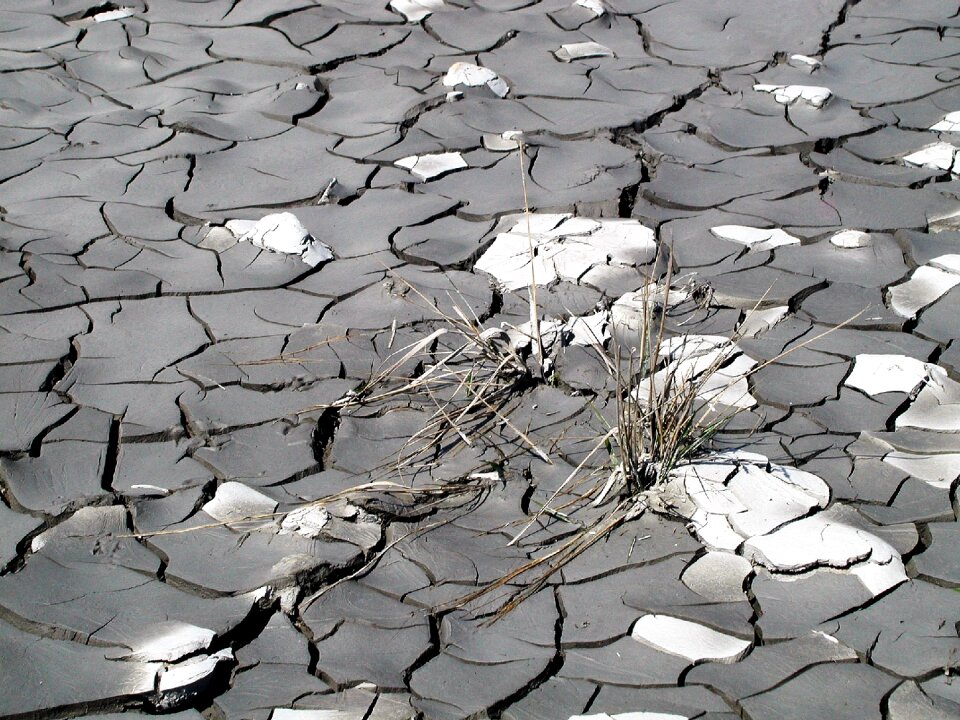 Drought dry grass mud