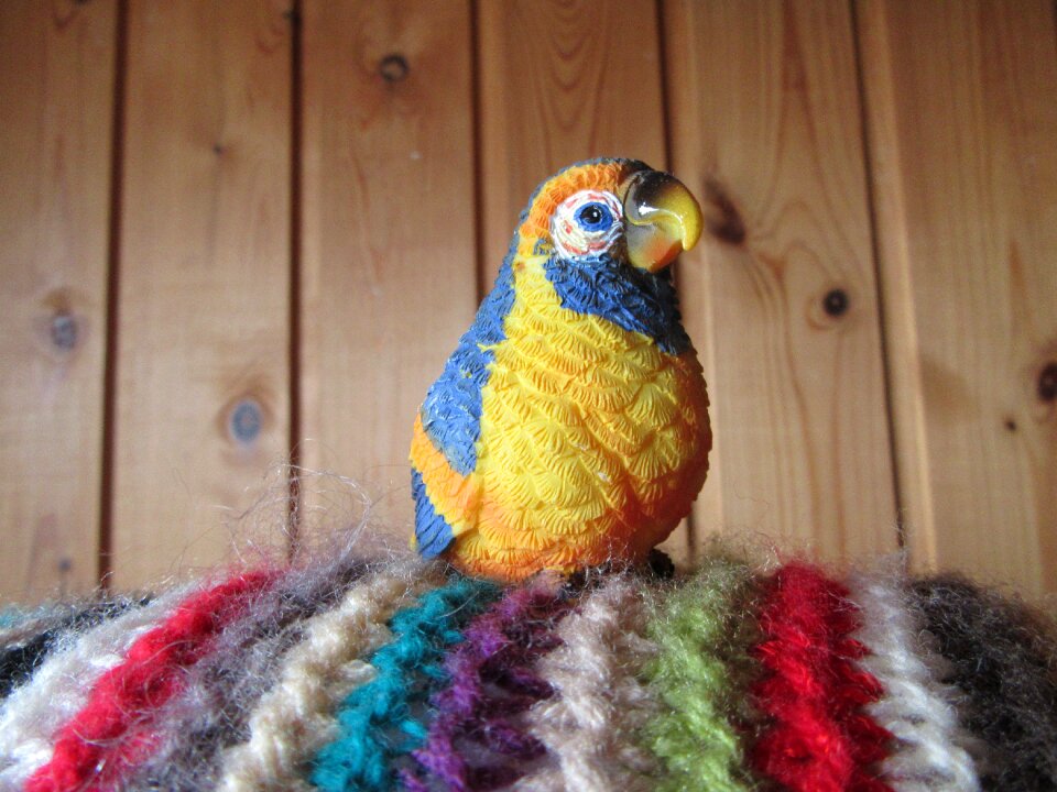 Colors colored feathers