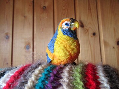 Colors colored feathers