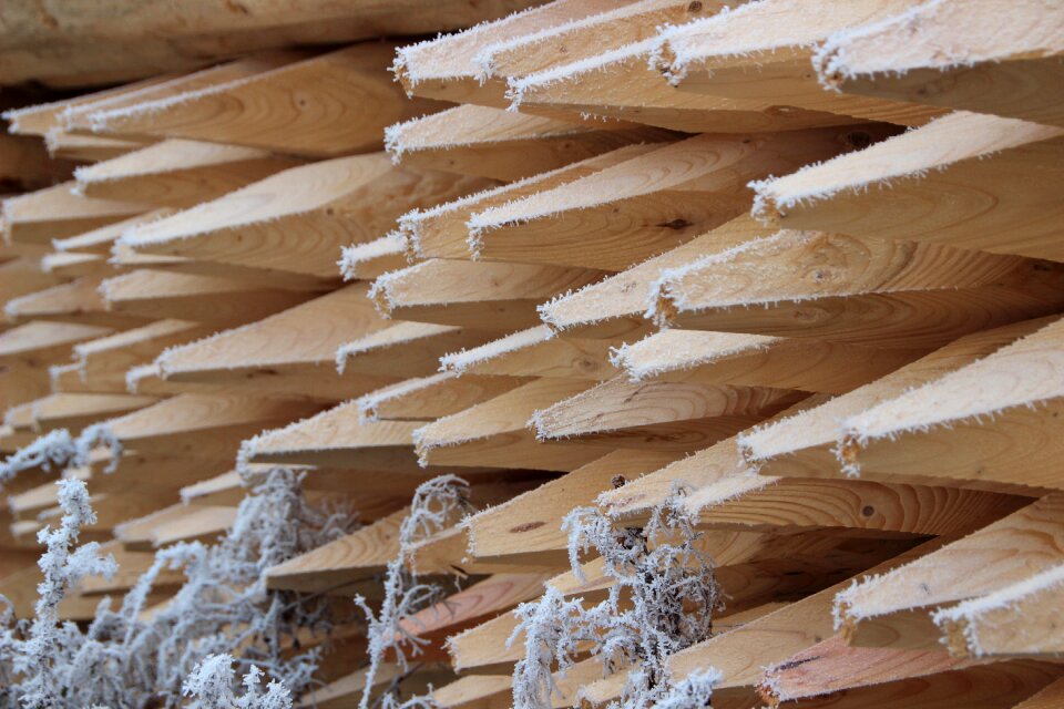 Winter iced wooden posts