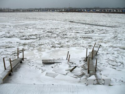 Damage cold winter