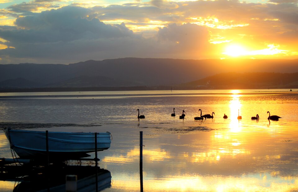 Sunset relax tranquility