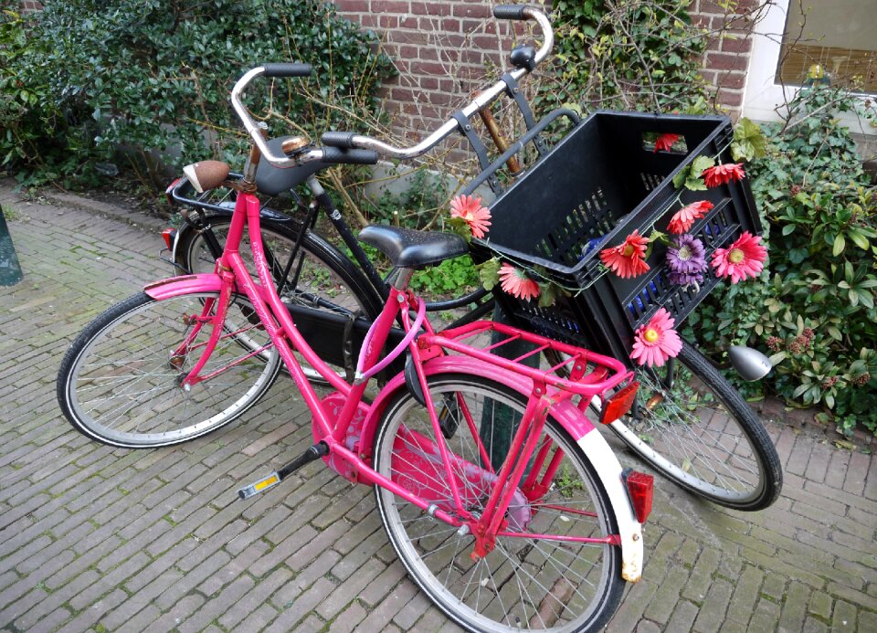 Wheel wheels women's bicycle