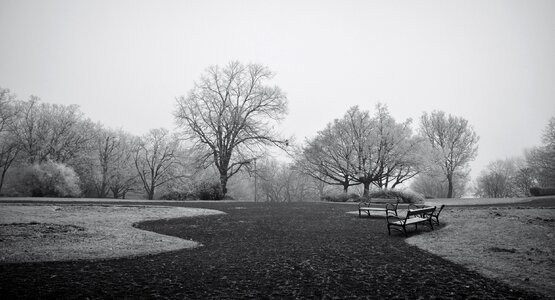 Nature season outdoor