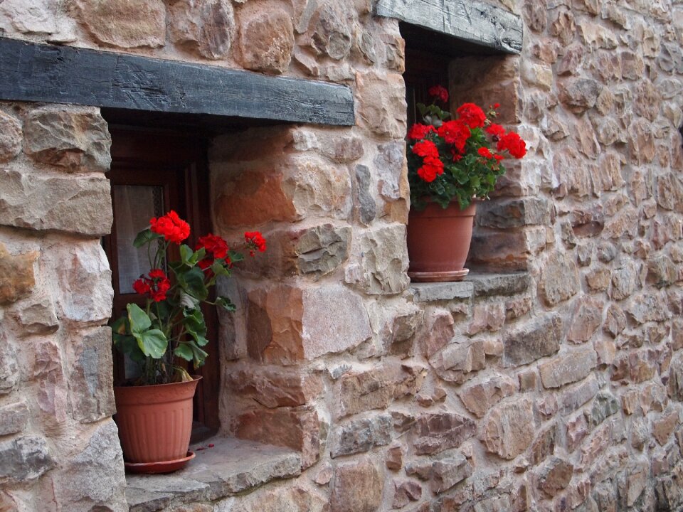 Flowers facade old window
