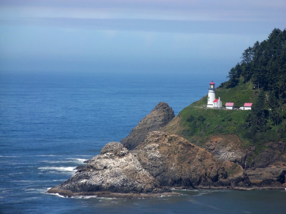 Coast landscape
