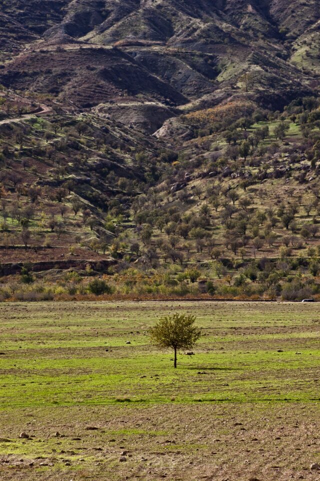 Landscape mardin turkey