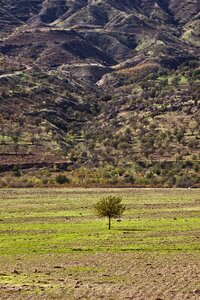 Landscape mardin turkey