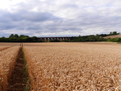 Path leading to railway viaduct english late summer photo