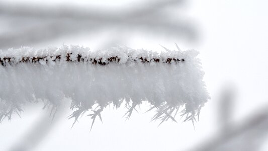Hoarfrost frozen ice photo
